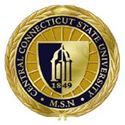 Picture of Central Connecticut State University MSN Pin