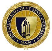 Picture of Central Connecticut State University MSN Pin