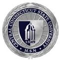 Picture of Silver Plate Central Connecticut State University MSN Pin